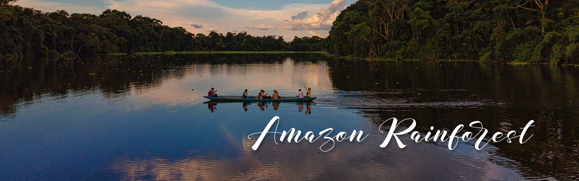 Amazon Rainforest_BG