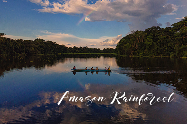 Amazon Rainforest_m
