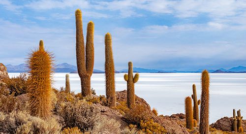 Bolivia_4