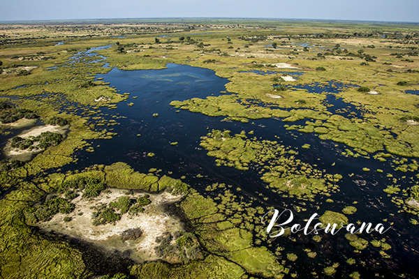 Botswana_m
