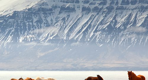 Iceland_7