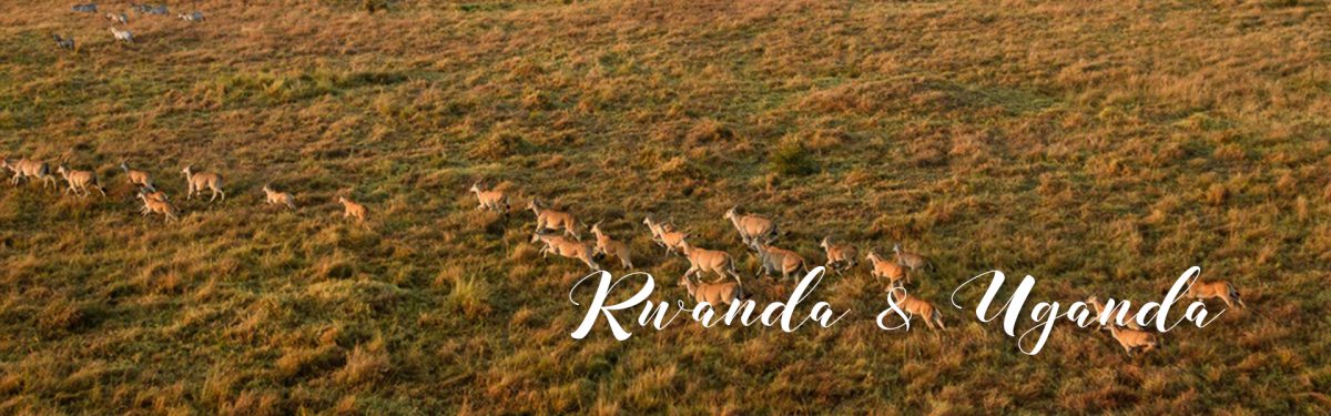 Rwanda_bg