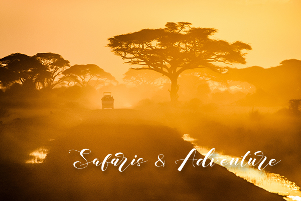 Safaris & Adventure_m