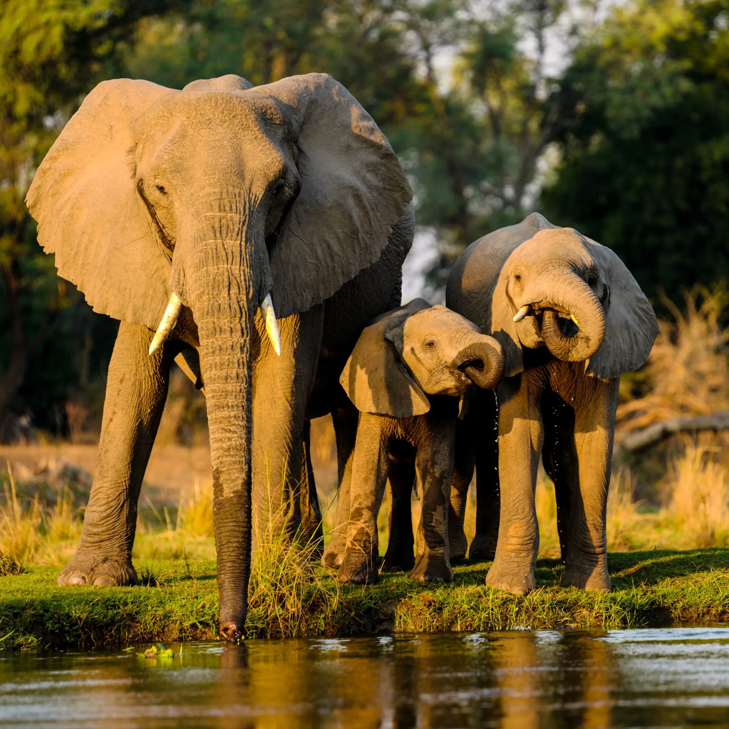 Family safari in Tanzania – kid friendly African adventure