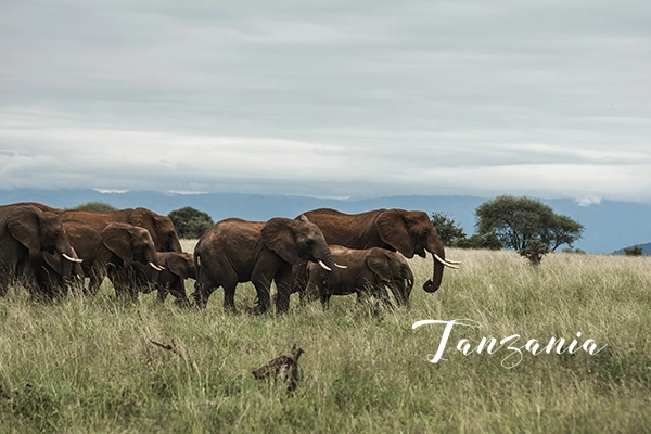 Tanzania