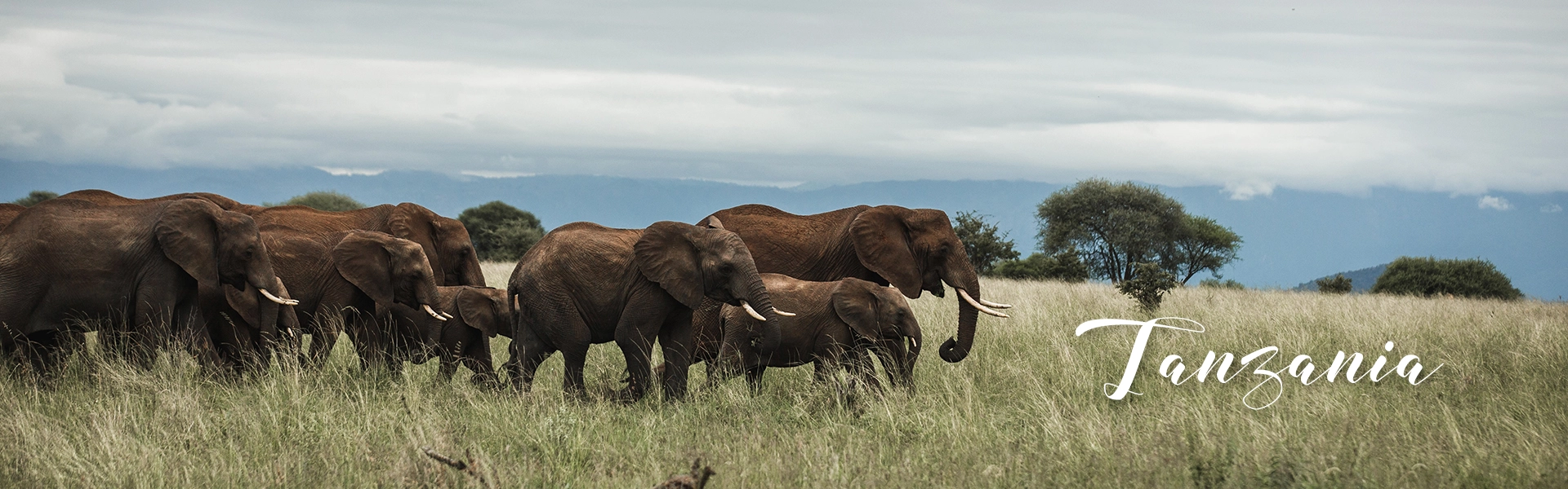 Tanzania